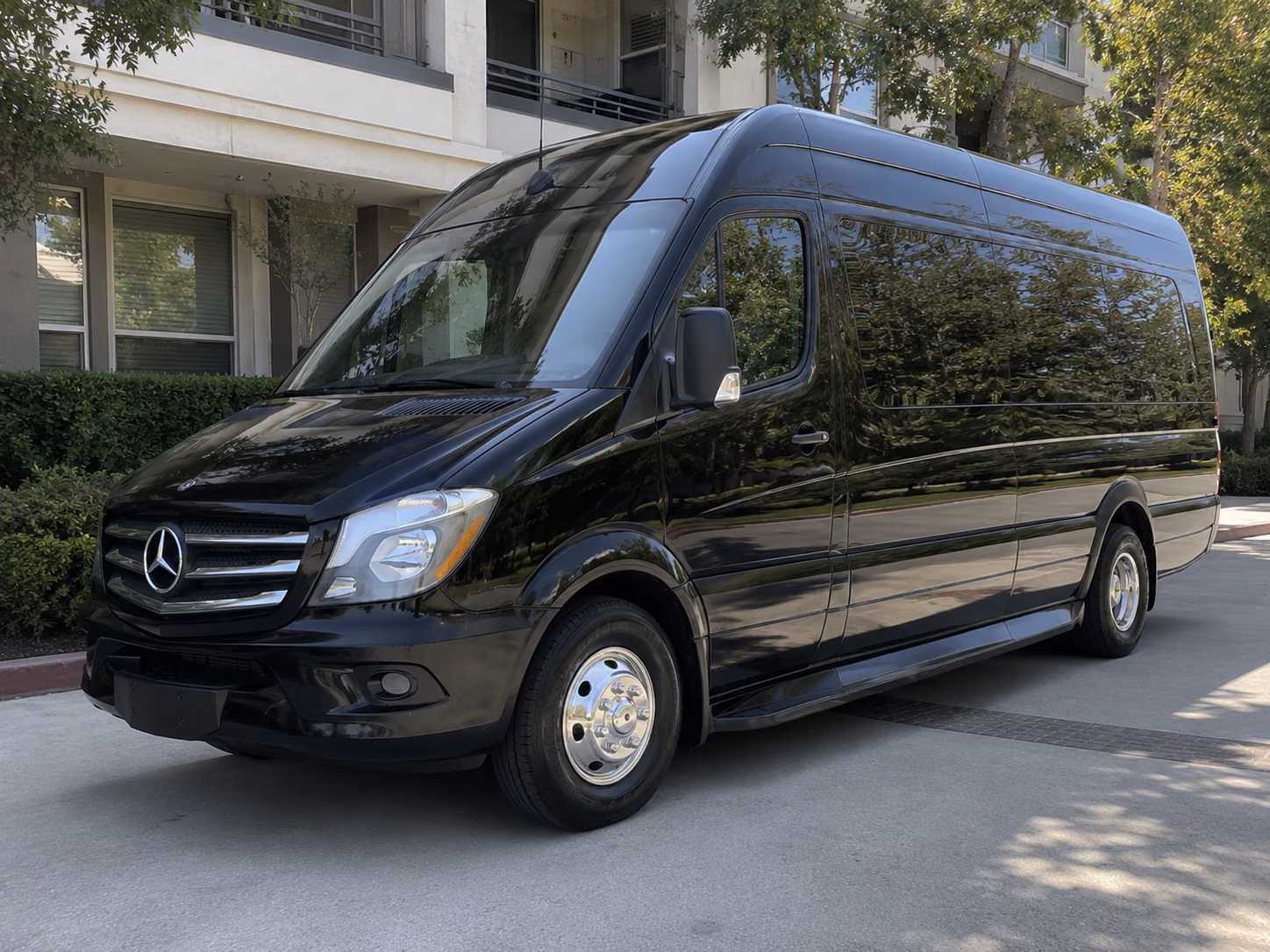 brownsville sprinter van with driver